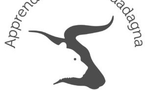 Nasce Bullsandbears.it, il blog e newsletter sull’informazione finanziaria BullsB-300x292