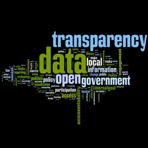 open_data_egovernment