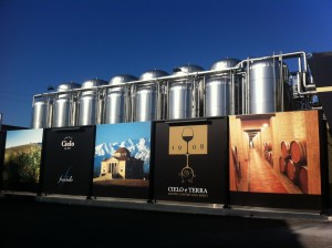 Cielo-e-Terra-Gruppo-Cantine-Colli-Berici1